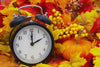 Daylight Savings Time