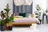 gorgeous bedroom