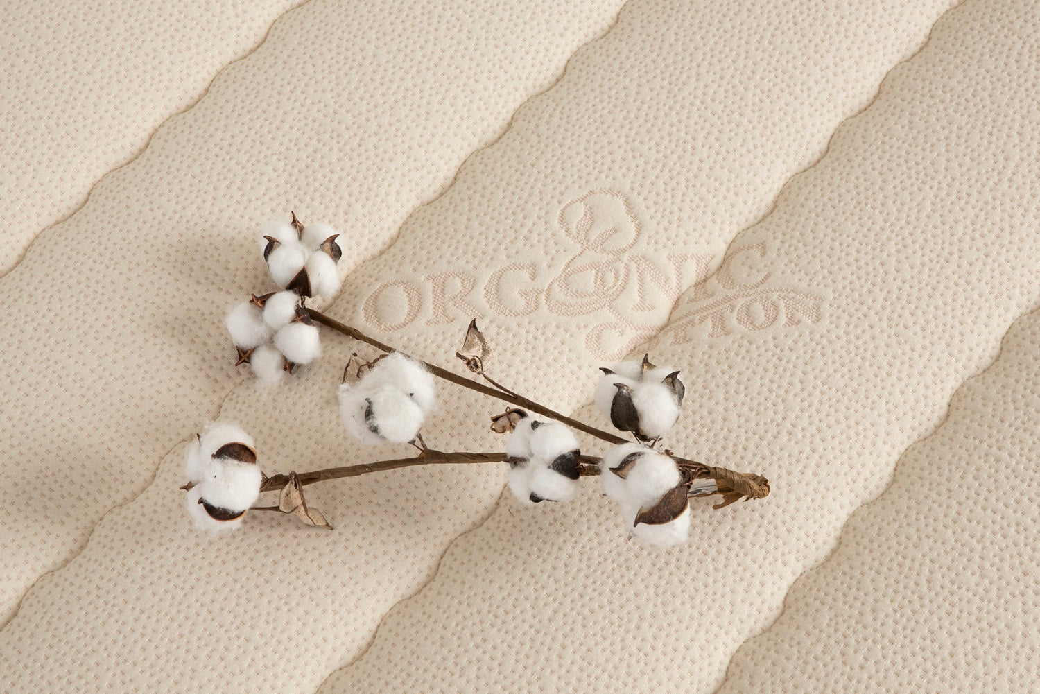 Cotton cover detail